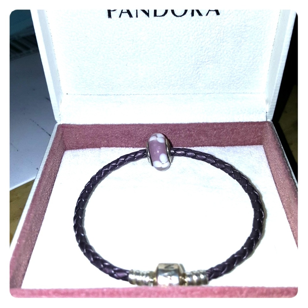 Pandora charm